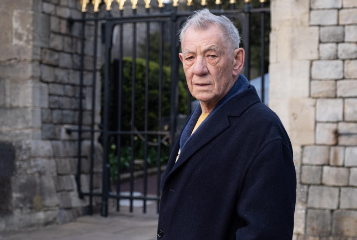 famous actors who are gay - Ian McKellen